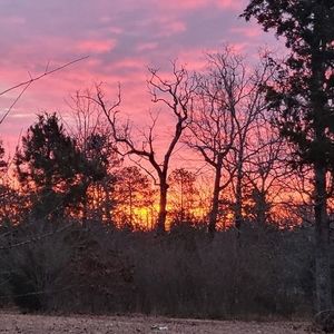 Meet your Posher, Terri